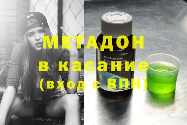 прущие грибы Тихвин