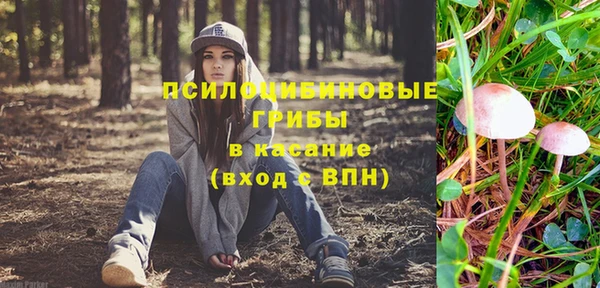 a pvp Горняк